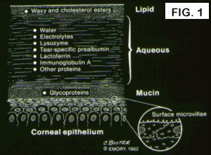 The preocular tear film